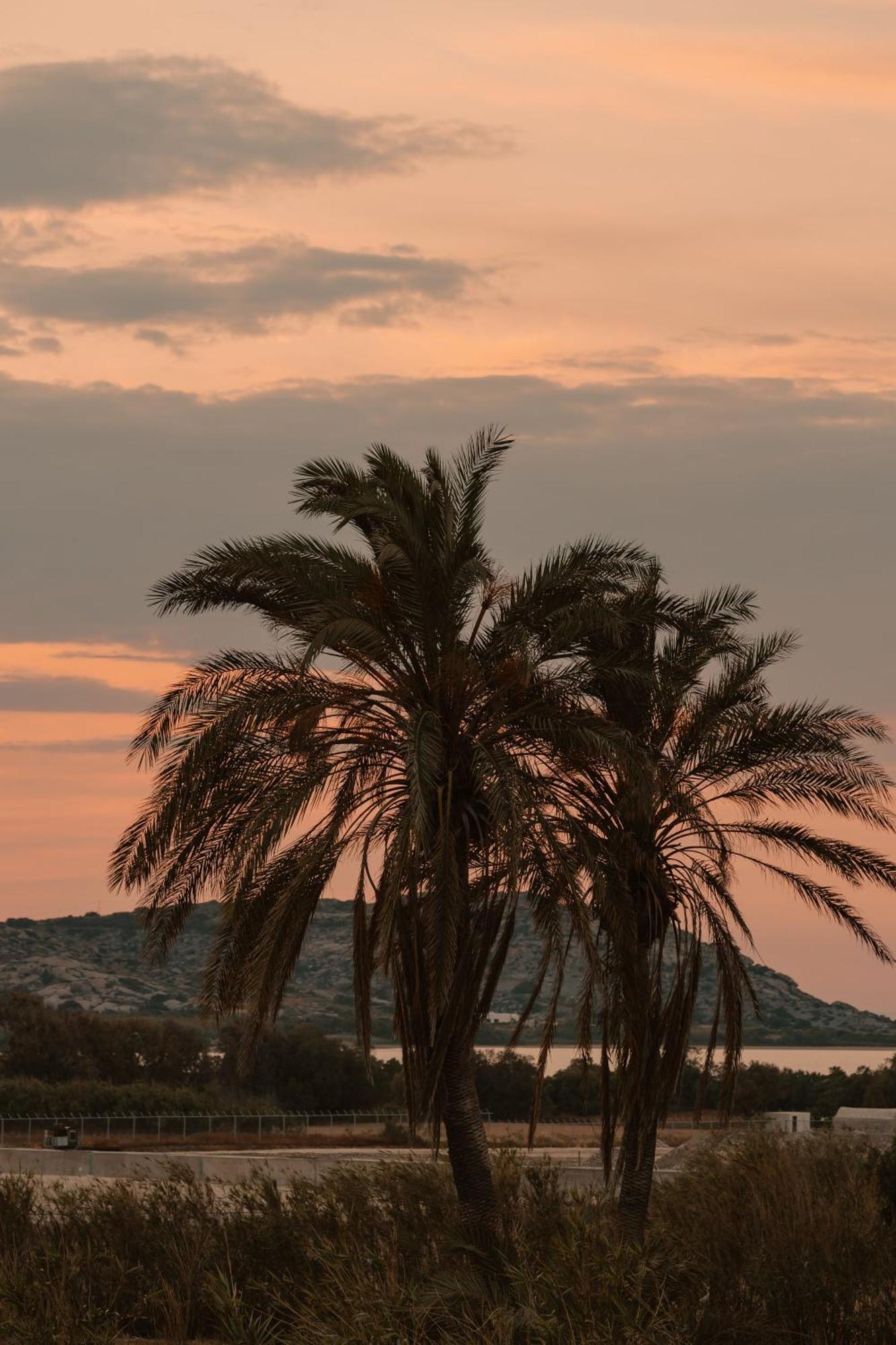 Villa Vaya Ajía Ána Kültér fotó